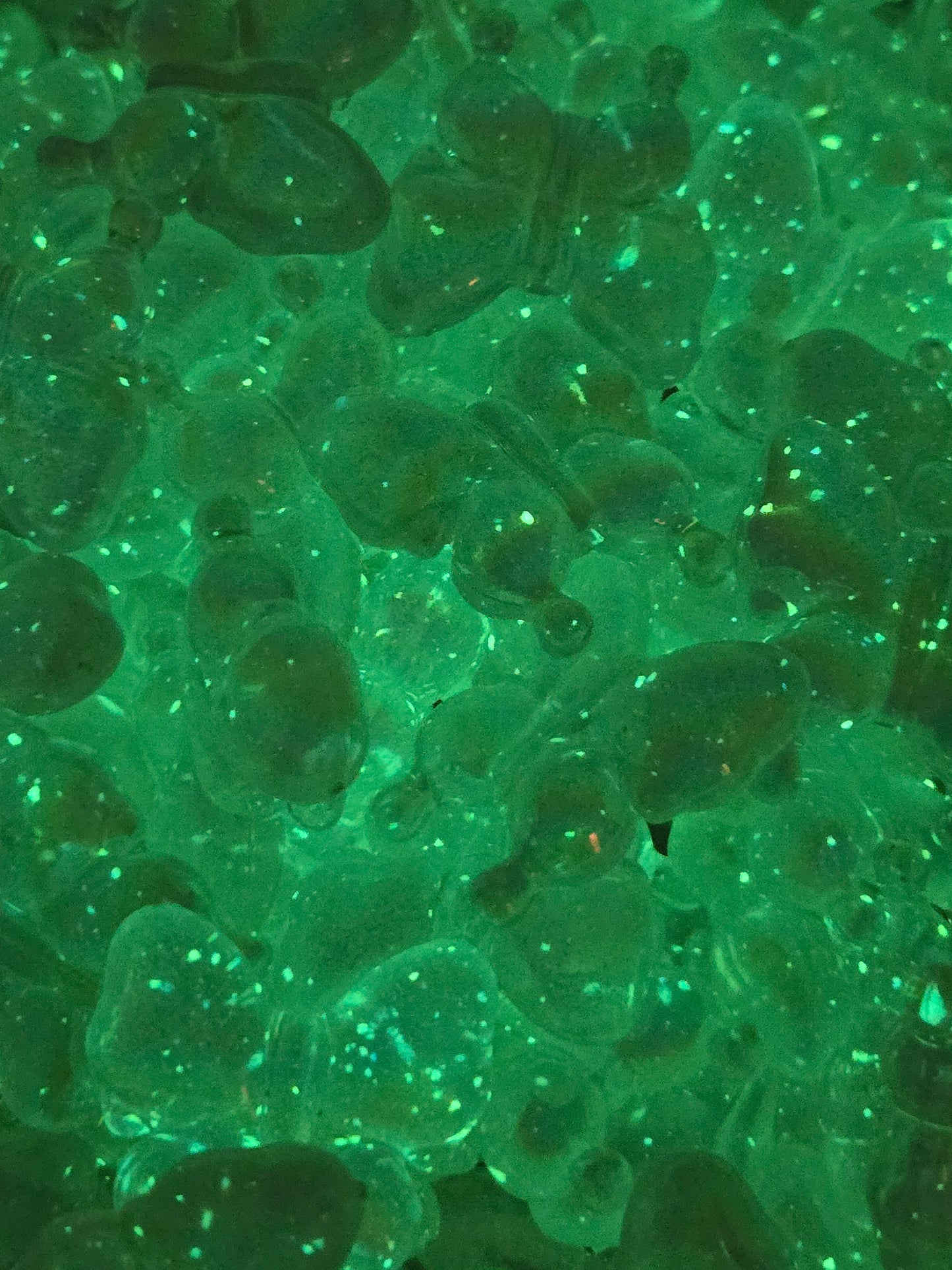 Luminous Butterfly Bead