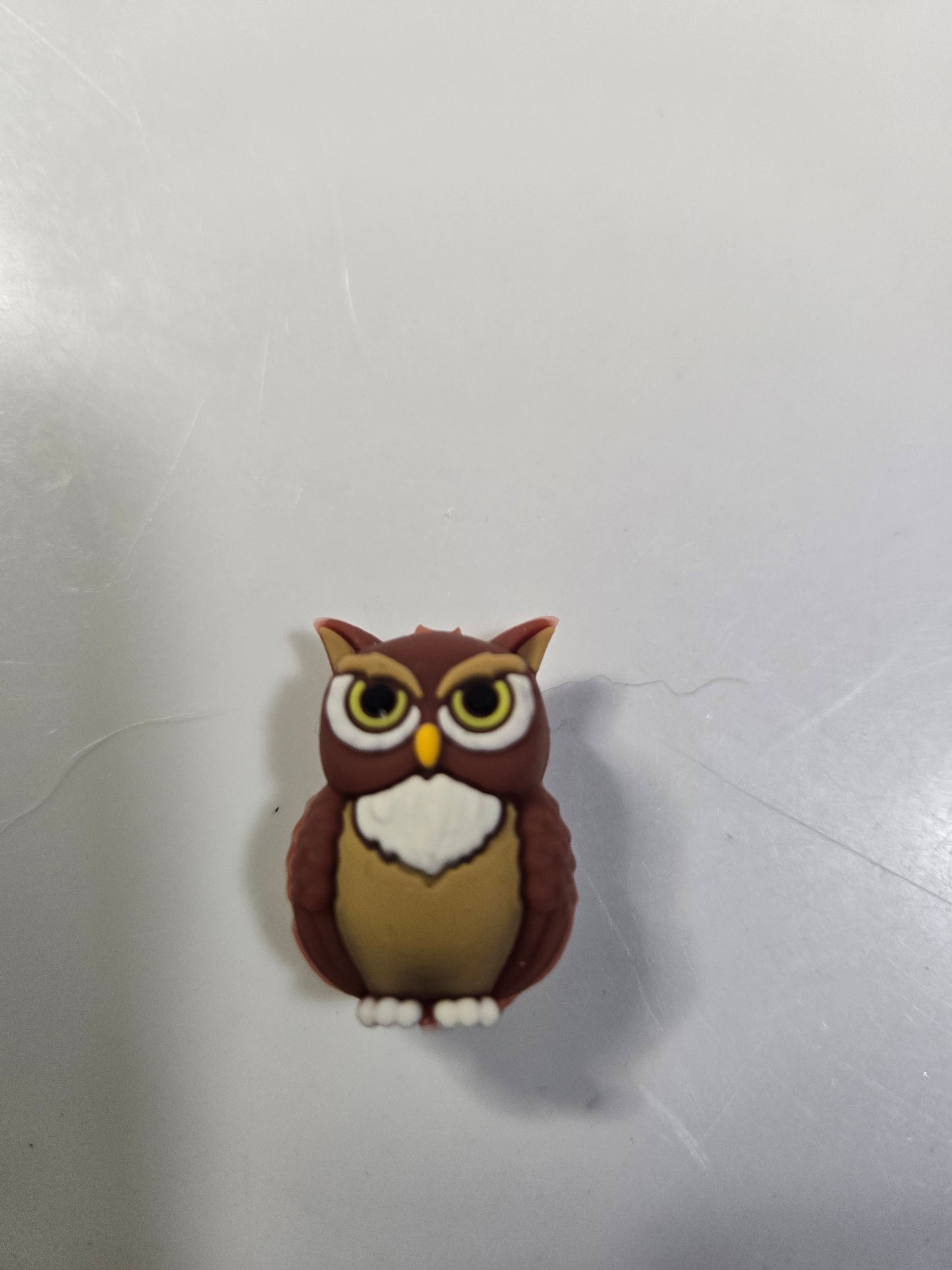 3D Owl Focal